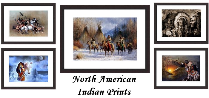 North American Indian Framed Prints